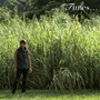  玉木宏/Times...でDMMアフィリエイトツール