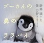 新井満/プーさんの鼻のララバイ