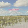  NOMAK/muziq and fotoでDMMアフィリエイトツール