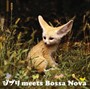 ジブリ meets Bossa Nova