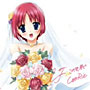 IF:この世界で/CooRie
