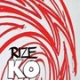  RIZE/K.O.でDMMアフィリエイトツール