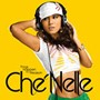  シェネル/Che’NelleでDMMアフィリエイトツール