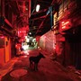  9mm Parabellum Bullet/Black Market BluesでDMMアフィリエイトツール