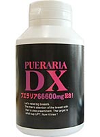�ץ���ꥢDX