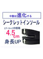 シークレットインソール