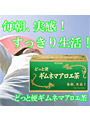 どっと便ギムネマアロエ茶
