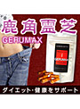 GERUMAX（ゲルマックス）