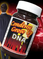 ����ǥ󥹥��������å�DNA ���ץ����
