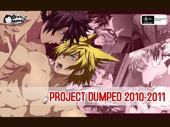 ProjectDump2010-2011