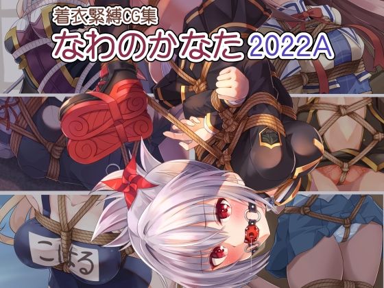 着衣緊縛CG集なわのかなた2022A