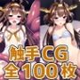 戦艦少女K_HCG集まとめ売り