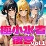 極小水着後宮・マイクロビキニハーレム〜グラドル牝犬化計画Vol.1