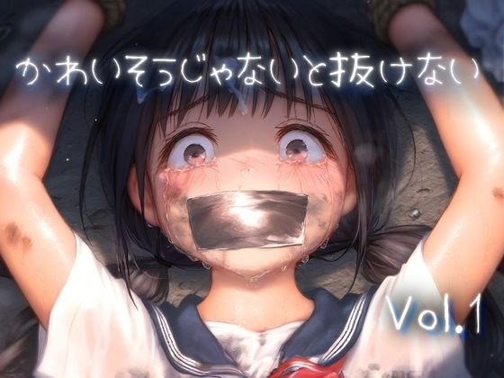 かわいそうじゃないと抜けないvol.1