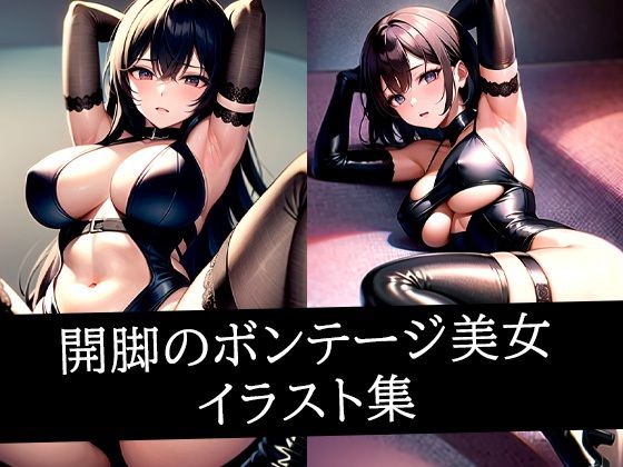 開脚のボンテージ美女イラスト集