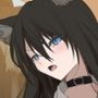 JKワンコ飼育日誌〜シェパードのノアちゃんのお宅の場合〜