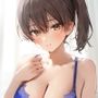 艦こ◯加◯さんと昼から夜戦三昧高解像度イラスト集