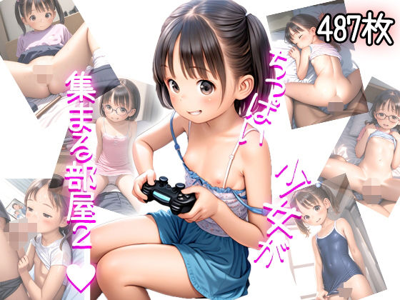 ちっぱい娘達が集まる部屋2〜ヤリ部屋になった少女達の性事情〜