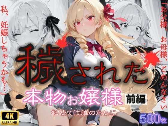 「お父様、お母様、ごめんなさい。私、妊娠しちゃうかも」穢された本物お嬢様前編〜初めては誰のために〜