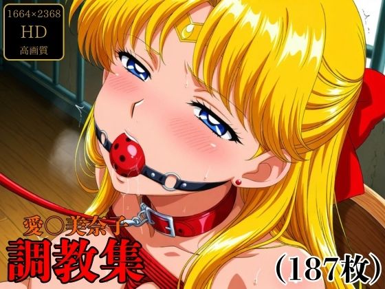 愛〇美奈子調教集