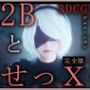 2BとせっX-3DCGアニメーション-完全版