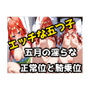 中野五月淫らな正常位と騎乗位