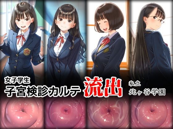 女子学生子宮検診カルテ流出―私立北ヶ谷学園―