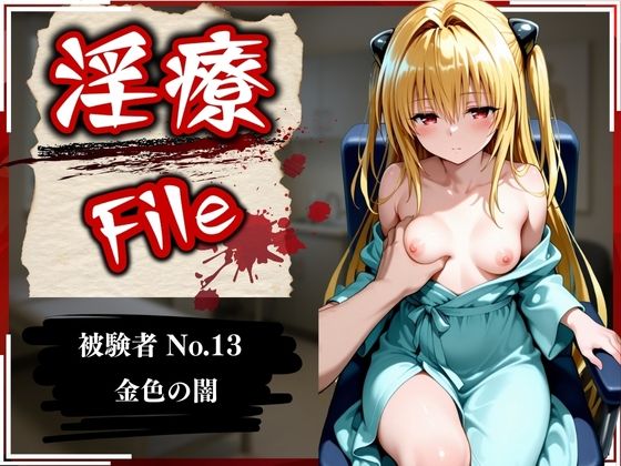 淫療ファイル〜被験者No.13金〇の闇〜