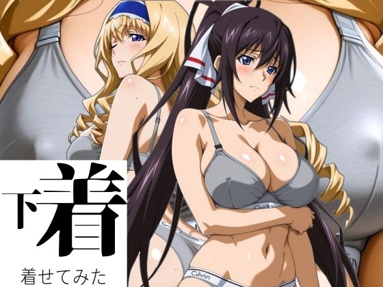 あの下着を着せてみた。ほ〇き＆セ〇リア