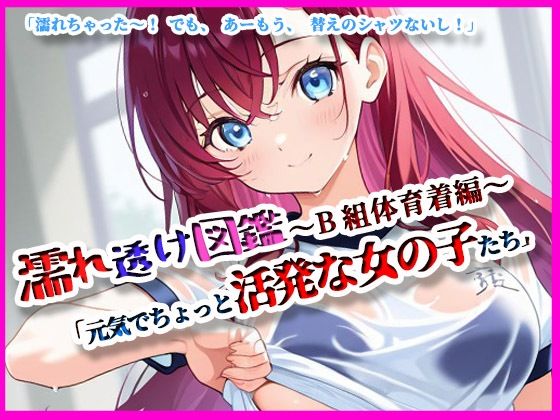 『濡れ透け図鑑-体育着編B組』〜元気でちょっと活発な女の子たち〜