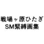 戦場ヶ原ひたぎSM緊縛画集