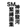 神原駿河SM緊縛画集