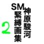 神原駿河SM緊縛画集2