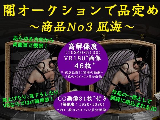 闇オークションで品定め〜商品No3凪海〜