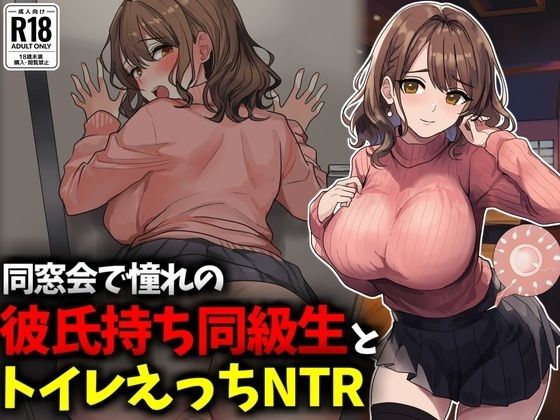 同窓会で憧れのマドンナ的同級生とトイレえっちNTR