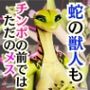 蛇女もチンポの前ではただのメス。調教されたり肉便器になったりする動画パック