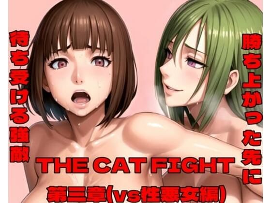 THECATFIGHT第三章（vs性悪女編）