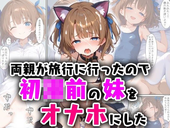 両親が旅行に行ったので初潮前の妹をオナホにした