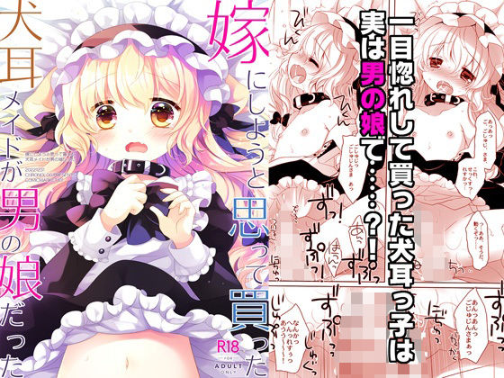 嫁にしようと思って買った犬耳メイドが男の娘だった