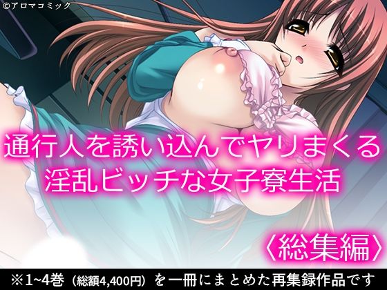 通行人を誘い込んでヤリまくる淫乱ビッチな女子寮生活＜総集編＞