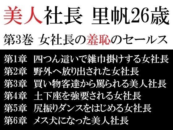 美人社長里帆26歳第3巻女社長の羞恥のセールス