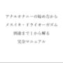 アナルオナニーの始め方からメスイキ・ドライオーガズム到達まで1から解る完全マニュアル