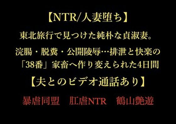 東北旅行で見つけた純朴な貞淑妻。浣腸・脱糞・公開陵●…排泄と快楽の「38番」家畜へ作り変えられた4日間