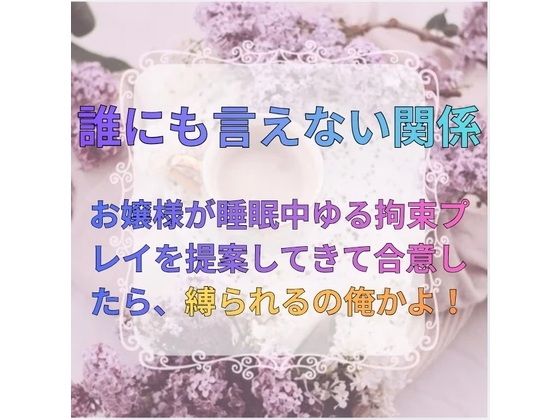 誰にも言えない関係〜財閥令嬢との背徳契約〜