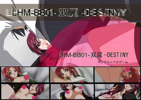 LHMBB01-双翼-DESTINY