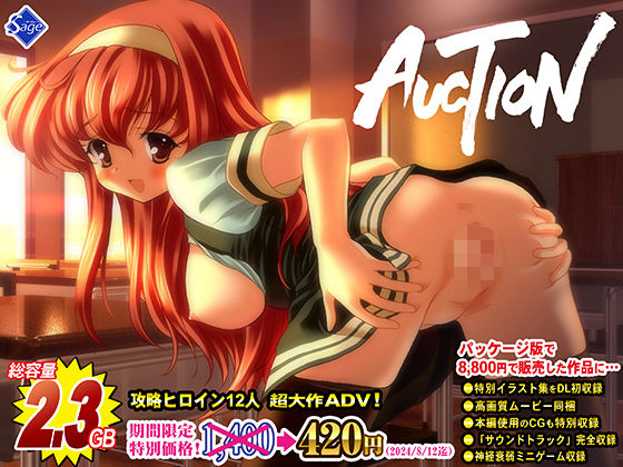 AUCTION-てんこ盛り完全版-