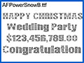 雪の結晶をイメージした欧文 AFPowerSnowB 画像1