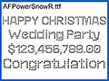 雪の結晶をイメージした欧文 AFPowerSnowR 画像1