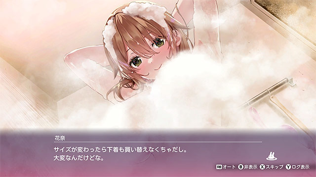 DL版】DMM GAMES [へべれけばにーがーでん] PCゲーム