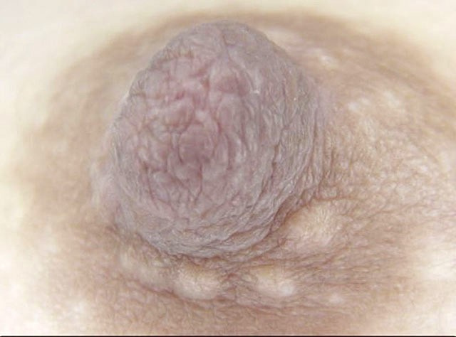 100人の乳首 第9集 サンプル画像 No.5